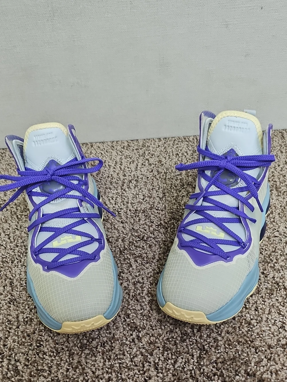 NIKE LEBRON 19 GS EASTER YOUTH SNEAKERS BFPM-06-162
